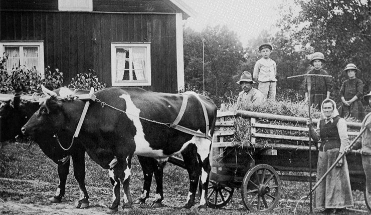 Una familia de campesinos del siglo XIX junto a un carro tirado por bueyes lleno de heno.