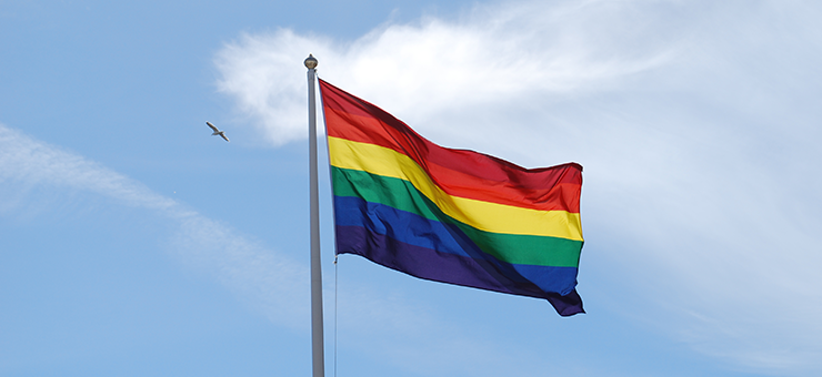 A Pride flag on a flagpole, waving in the wind.
